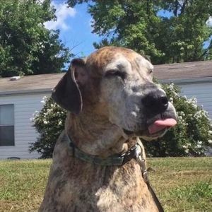 Meet your Posher, Jenni